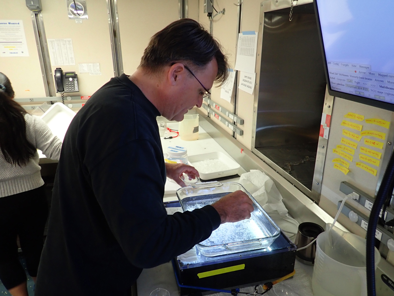 Dhugal Lindsay sorts through samples collected with the Multiple Opening/Closing Net and Environmental Sensing System (MOCNESS) during the Exploring Pelagic Biodiversity of the Gulf of Alaska and the Impact of Its Seamounts.
