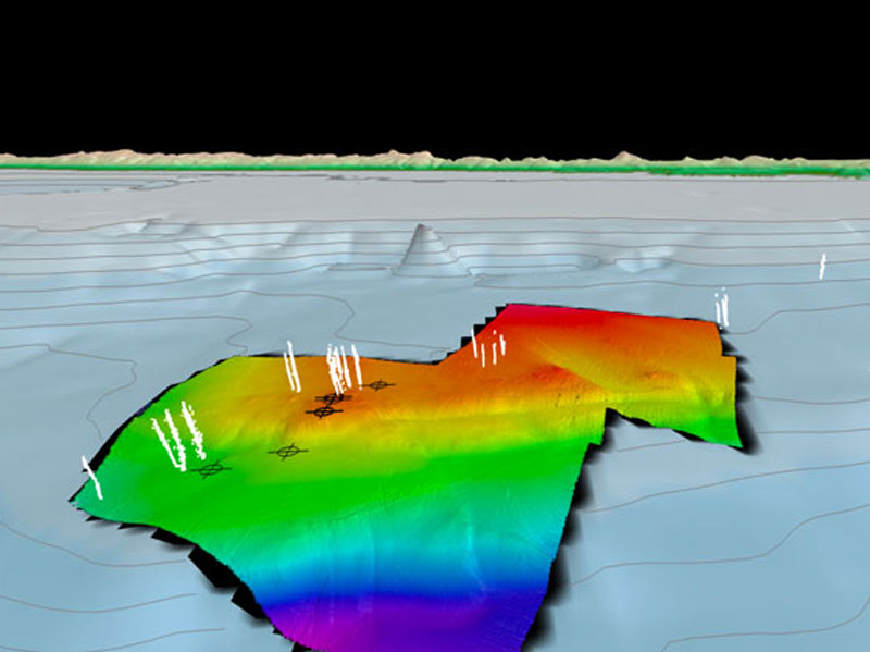 3D perspective view of multibeam bathymetry collected at the Concepción Methane Seep Area for the Exploring Deep-Sea Methane Seeps Along the Chile Margin project. Methane seep plumes are shown in white and coring locations are shown as black bullseyes.
