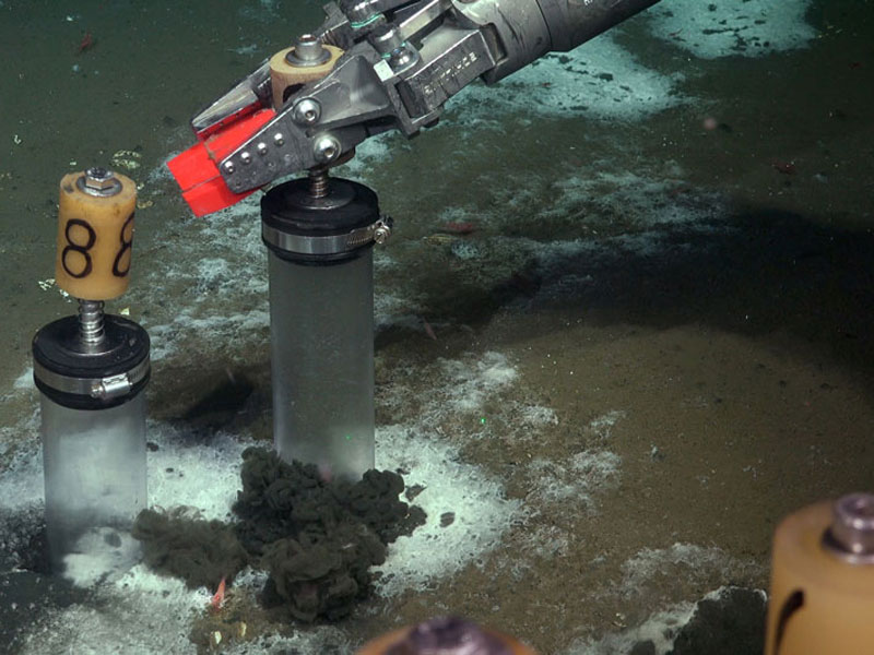 Remotely operated vehicle (ROV) pilots aboard Research Vessel Falkor (too) use ROV SuBastian’s manipulator arm to take a core sample of bacteria and sediment near the El Quisco Seep Area.