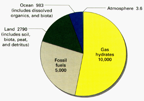 Graph of organic Carbon Distribution on Earth