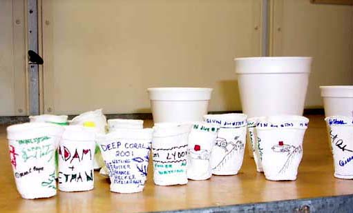 compressed styrofoam cups
