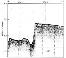 Sonar trace of the wreckfish scarp