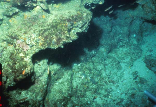 Outcrop along Savannah Scarp