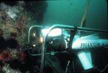 Phantom ROV (remotely operated vehicle)