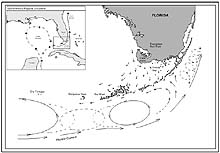 Map showing current patterns throughout the Florida Keys