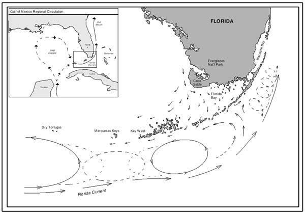 Map showing current patterns throughout the Florida Keys