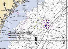 Savannah Scarp Dive Sites