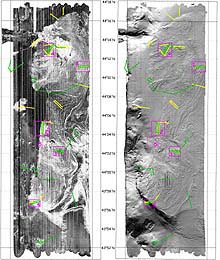 Heceta Bank topography