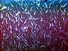 myctophiids (lantern fish)