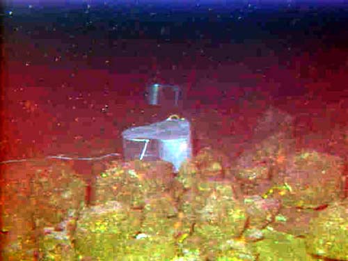 fishtraps
