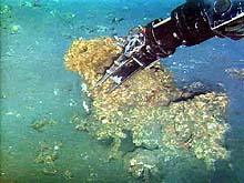 ROPOS sampling a carbonate chimney