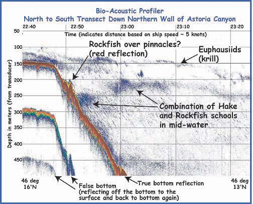 Data from bio-acoustic profiler