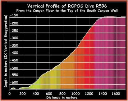 Vertical profile of ROPOS dive