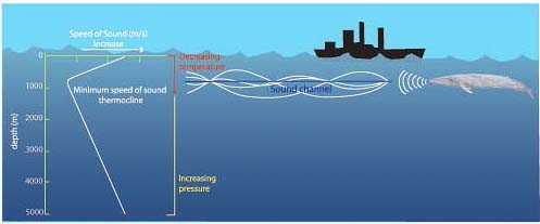 diagram of how sound travels underwater