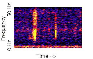 Spectrogram of unidentified noise, labeled as Bloop
