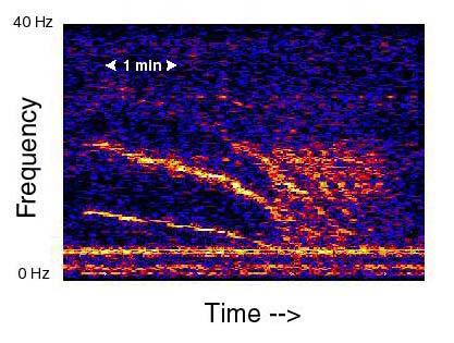 Spectrogram of unidentified noise, named Slow Down"