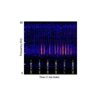 spectrogram of an Atlantic fin whale