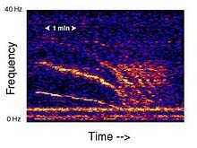 Spectrogram of unidentified noise, named Slow Down"