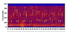 spectrogram of a humpback whale