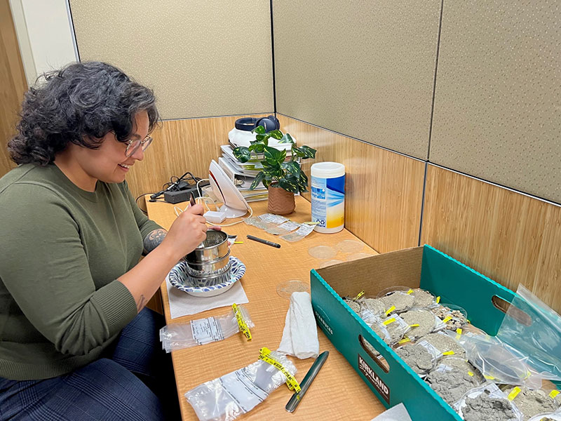 Sealaska Heritage Institute museum intern, Jordan Martinez, helping screen sediments brought back for microdebitage analysis from 2023 field work conducted as part of the Our Submerged Past project.
