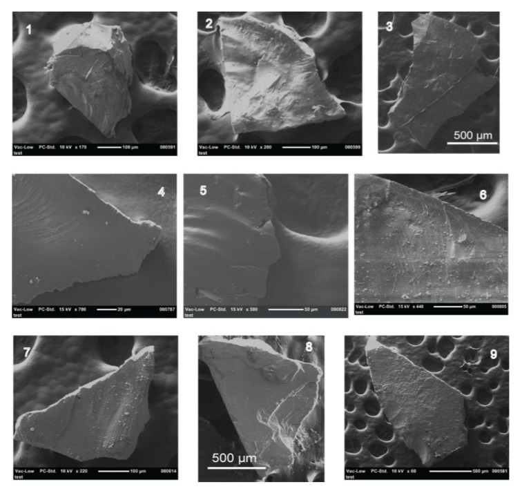 Microdebitage images from a scanning electron microscope (SEM). Image number 3 is experimental debitage; 4 shows feathered edges and unidirectional striations; and, 5 shows thinned edges and unidirectional conchoidal fractures. Flakes from the Great Lake basin.