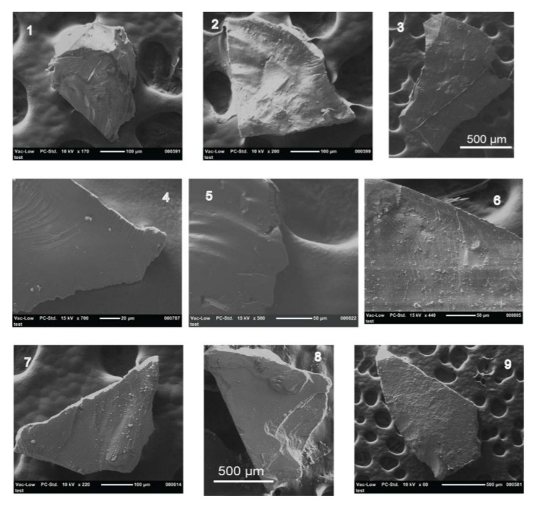 Microdebitage Images