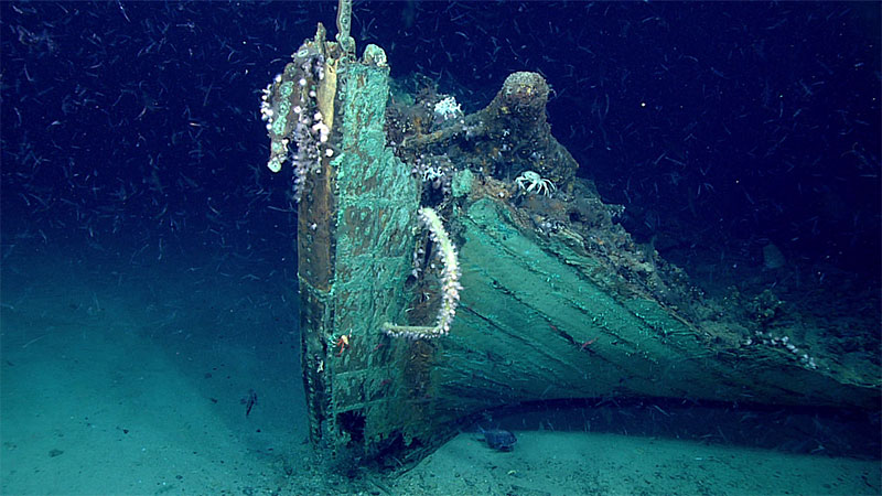 Why Do We Study Shipwrecks?