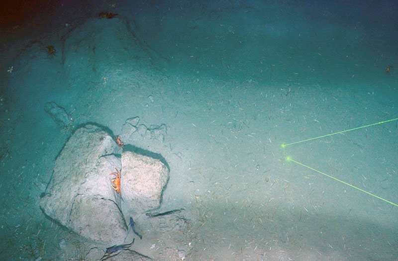 Deep-sea Canyons