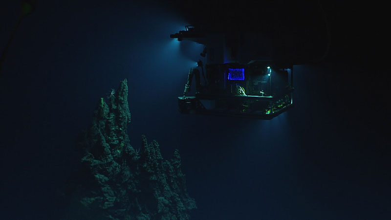 This extinct hydrothermal vent chimney was discovered while exploring a volcanic dome in the Mariana Islands region with remotely operated vehicle Deep Discoverer. The cessation of the flow of chemical-rich fluids at an extinct vent means that organisms that depend on these chemicals can no longer survive there. But, an extinct vent is still an important habitat. With its hard surface providing a place for organisms to attach and settle and its tall form reaching into the water column, an extinct vent can be prime real estate in the deep ocean.