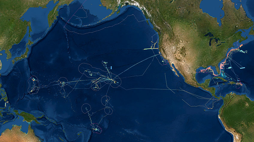 From 2008 through early November 2021, NOAA Ocean Exploration mapped 2 million square kilometers (772,204 square miles) of seafloor aboard NOAA Ship Okeanos Explorer. Okeanos Explorer is equipped with state-of-the-art multibeam sonar systems that use beams of sound to map the ocean floor. This map shows the cumulative multibeam mapping coverage. The gray lines indicate the boundaries of the U.S. Exclusive Economic Zone.