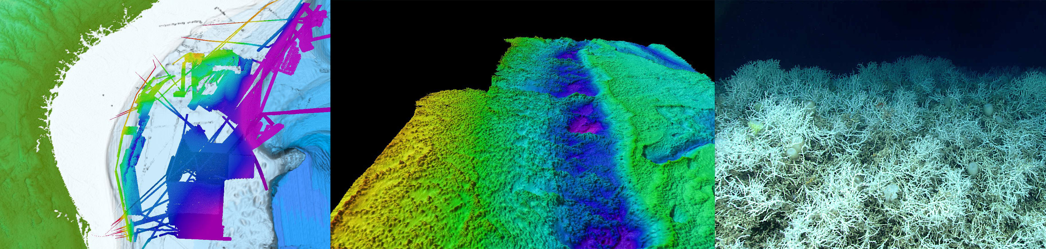 NOAA Ocean Exploration has been mapping the seafloor of the Blake Plateau off the Southeast United States aboard NOAA Ship Okeanos Explorer (left) since 2011. As a result of this mapping, NOAA Ocean Exploration and partner scientists discovered mounds of extensive, dense populations of the deep-sea, reef-building coral Lophelia pertusa (middle and right) — some in areas previously believed to be flat and featureless. These mounds have been growing for thousands, perhaps millions, of years and provide shelter and habitat to a variety of marine life. Now, at 28,047 square kilometers (10,829 square miles), this area is considered to be the largest known deep-sea coral province in U.S. waters, possibly the world. Additional mapping data collected with the support of NOAA Ocean Exploration (not shown here) have contributed to a near complete map of the deep waters of the Blake Plateau, an area of interest for the National Strategy for Mapping, Exploring, and Characterizing the United States Exclusive Economic Zone.