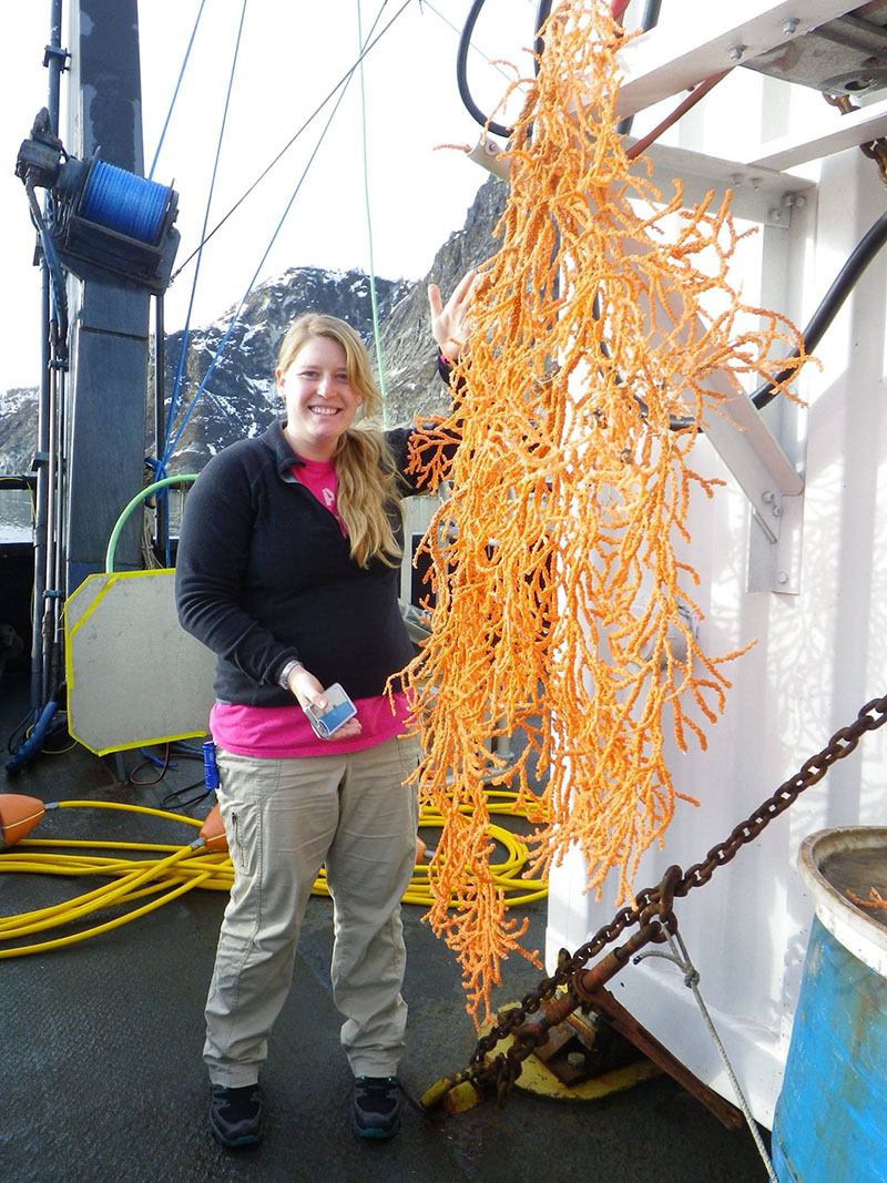 Kasey with a large colony of red tree coral (Primnoa pacifica) collected during the Deepwater Exploration of Glacier Bay National Park expedition to determine the coral’s age and local coral growth rates.