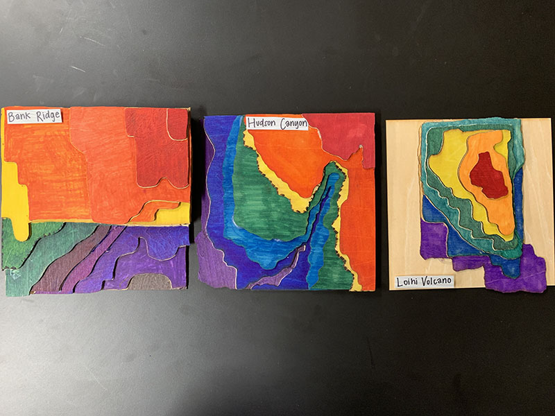 Three examples of bathymetric 3D models of seafloor structures created by students using laser technology in Emily McAfee’s marine biology class. Models include deep-sea ridges, canyons, and seamounts.