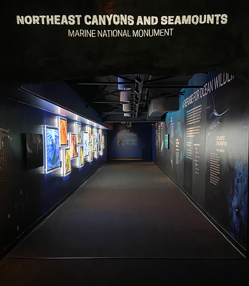 A visit to Mystic Aquarium’s new exhibit on the Northeast Canyons and Seamounts Marine National Monument was one of the highlights of the students’ experience during the Ocean Exploration Adventure program.
