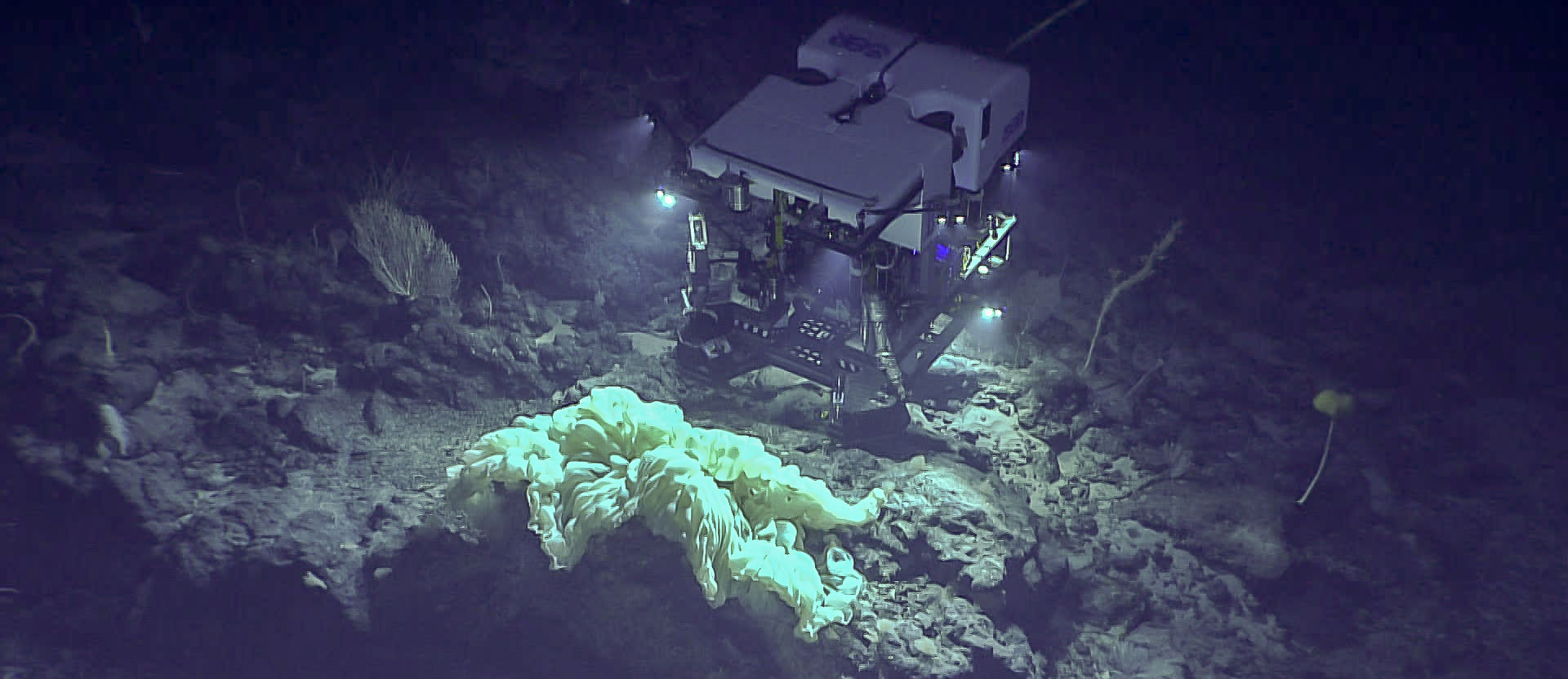 Remotely operated vehicle hovering over rocks and corals