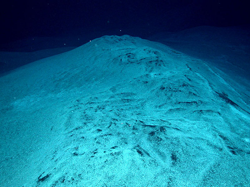 Microbial mats coated in white sulfate material were observed and sampled at several vent sites at West Mata in 2009. These mats were dominated by Epsilonproteobacteria which is a class of bacteria often associated with sulfur oxidation in marine environments.