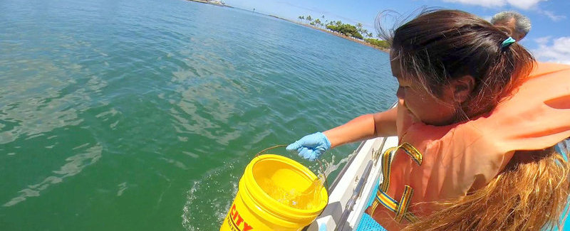 Ala Wai site, Hawaii: Tiani Naholowaa collecting water at the site.