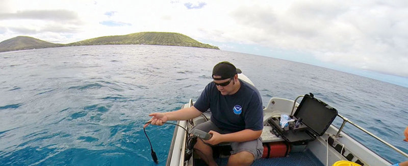 Maunalua Bay site, Hawaii: Jon Martinez collecting environmental data at the site.