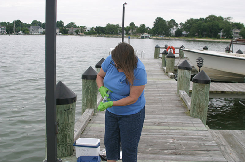 Oxford Lab pier Site, Chesapeake Bay, Maryland: Shawn McLaughlin filtering water to collect marine microbes.