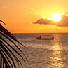 December 2012, Roatan, Honduras: A palm branch with a fisherman in his boat.