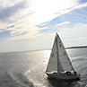 This was taken in the ocean on the way back from Nantucket Island August of 2012.