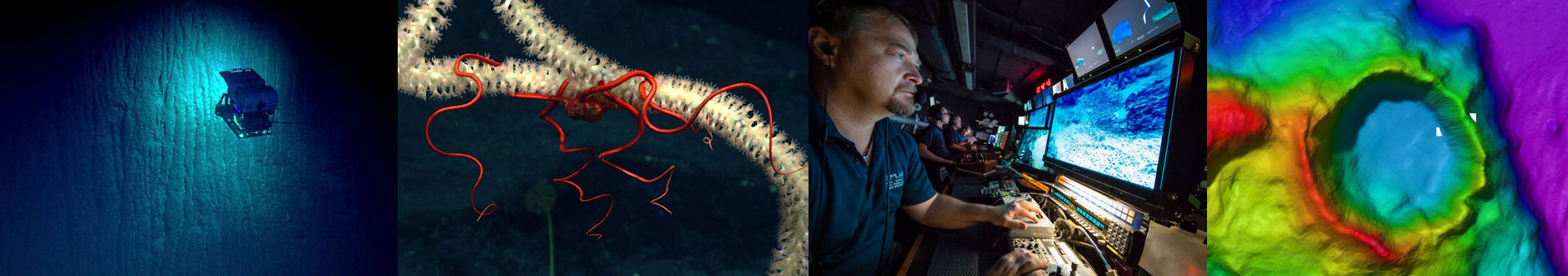 ROV Deep Discoverer; brittle star on coral; Okeanos Explorer control room; multibeam data