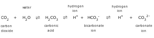 carbonate buffer system equation