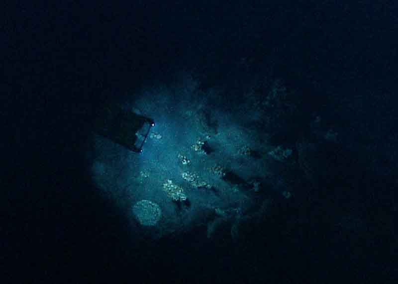 <em>Little Hercules</em> examines a collection of hydrothermal vents on Kawio Barat. The ROV team works many hours behind the scenes to keep <em>Little Hercules</em> in top condition.