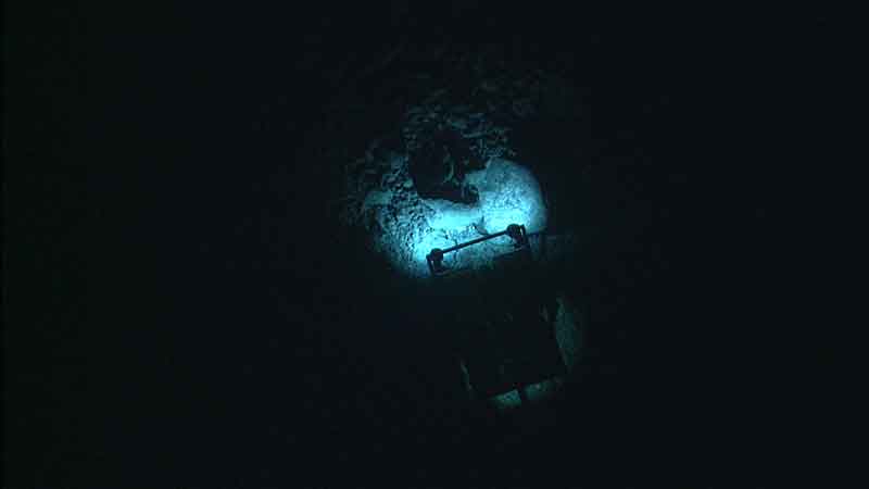 The remotely operated vehicle <em>Little Hercules</em> hovers over the seafloor, shedding light on previously unseen terrain. Cutting-edge technology like <em>Little Hercules</em> facilitates exploration and research in the deep sea.