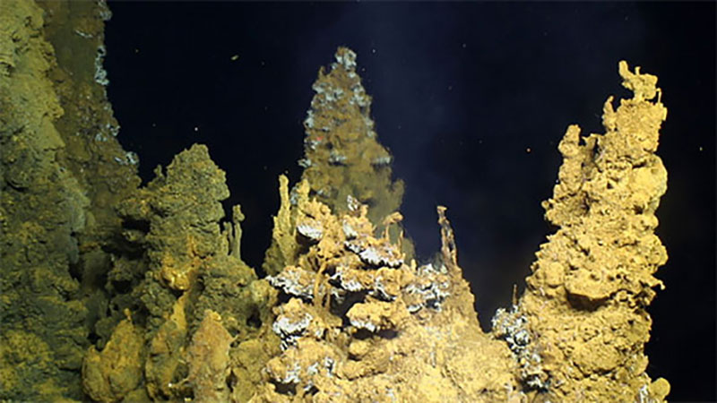 Sulfide chimneys coated with iron-based microbial mat at the Urashima Vent are investigated by the Submarine Ring of Fire 2014 – Ironman expedition team using ROV Jason. Image courtesy of Submarine Ring of Fire 2014 - Ironman, NSF/NOAA, Jason, Copyright WHOI.
