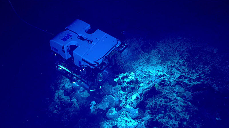 A top-down look at remotely operated vehicle (ROV) Deep Discoverer imaging corals and sponges, as captured by ROV Seirios during the eighth dive of the second Voyage to the Ridge 2022 expedition.