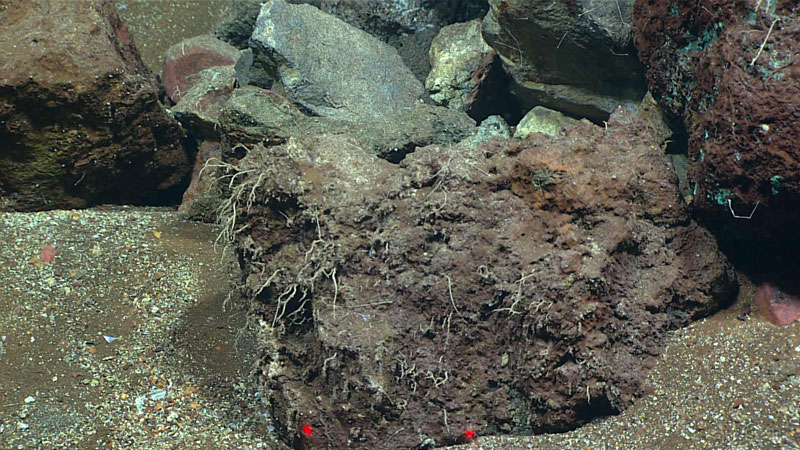 Throughout much of Dive 02 of the second Voyage to the Ridge 2022 expedition, we observed rocks with “stringy” tubes of unknown origin growing on them. The team was able to collect a sample for later analysis to possibly unravel the mystery.
