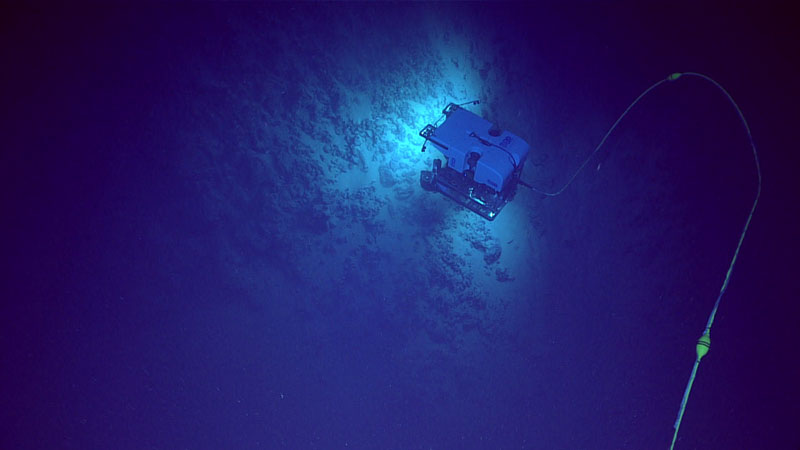 Remotely operated vehicle Deep Discoverer traverses over the seafloor of the volcano explored during the fourth dive of the Voyage to the Ridge 2022 expedition. For much of the dive, the seafloor was covered with white pteropod shells, with occasional current-driven patches of black encrusted pteropod shells. We also observed occasional outcrops of highly fragmented pillow basalts that were occasionally interrupted with long stretches of sediment.
