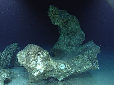 Limestone boulders that may have been exposed on the surface and eroded/weathered at one point, as seen during Dive 07 of the third Voyage to the Ridge expedition.